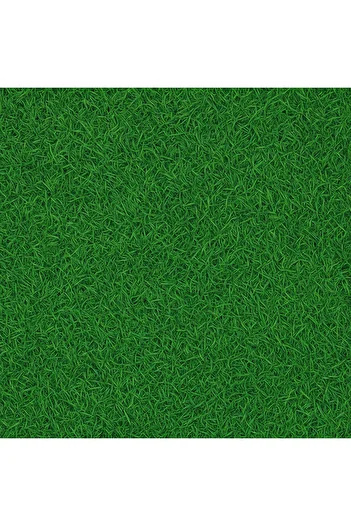 krm dünya ürünleri Grass Patterned Felt (Not Sponge) Very High Quality Mop and Condition 6mm and Heavy Canli