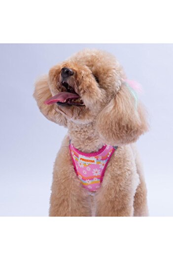 Pawstar Daisy Air-Mesh Chest Harness Cat Dog Chest Harness Daisy Pattern Dog Harness