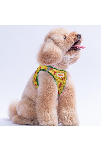 Pawstar Watermelon Air-Mesh Chest Harness Cat Dog Chest Harness Watermelon Pattern Dog Harness
