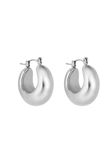 Daniel Klein Dkj.3.30010-1 Steel Gray Color Women's Earrings
