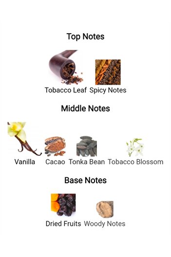 Devonte International Tobacco Vanille for Men and Women 100ml Extrait de parfum
