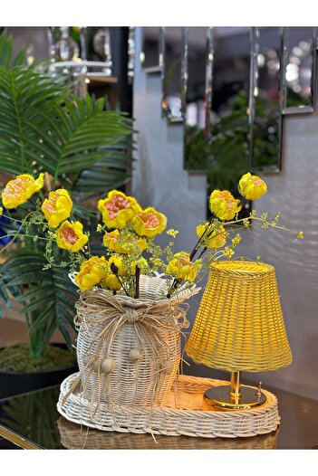 CANZEYHAM Rattan 4 lü kombin set