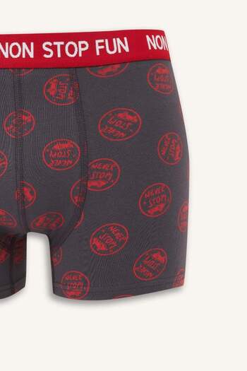 DeFacto Yeni Sezon Regular Fit Desenli 3'lü Boxer