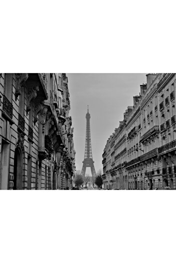 Harikabirev Amazing | Black&White Color Eiffel Tower Model | Framed Tempered Glass Table Single Horizontal