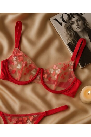 İntive Lingerie Pomegranate Flower Color Floral Embroidered Transparent 2-Piece Bra Set – Elegant and Feminine Touch
