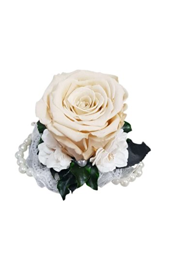 OEM Bratara perle domnisoara de onoare, trandafir criogenat crem si plante stabilizate, 7 cm