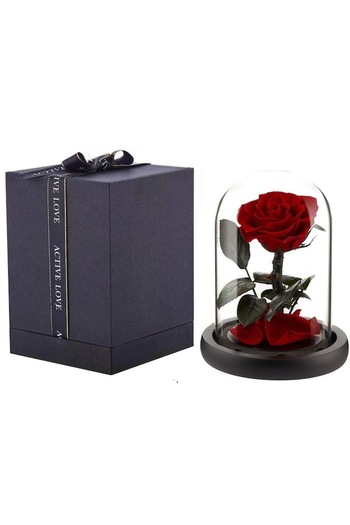 OEM Red Preserved Rose in Glass Dome H=81mm
