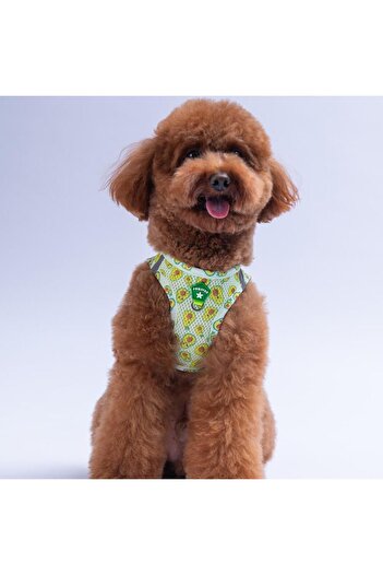 Pawstar Avocado Air-mesh Chest Collar Cat Dog Chest Collar