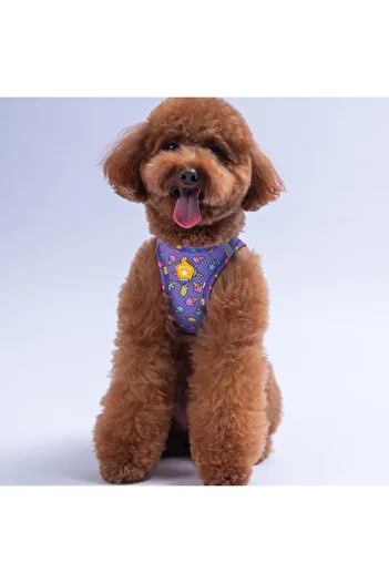 Pawstar Ice Cream Air-mesh Chest Collar Cat Dog Chest Collar