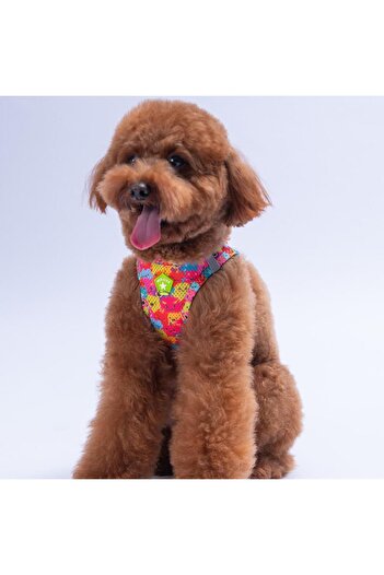 Pawstar Monsters Air-mesh Chest Collar Cat Dog Chest Collar