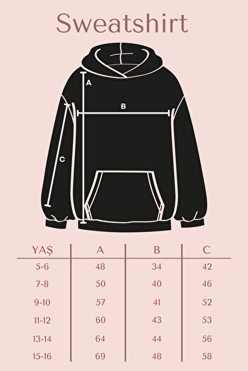 panios kids Plain Round Neck Bearr Printed Detail Boy's Sweatshirt