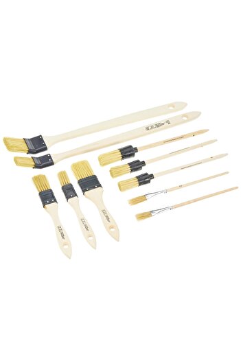OEM Set 10 Pensule Basic Color Ex