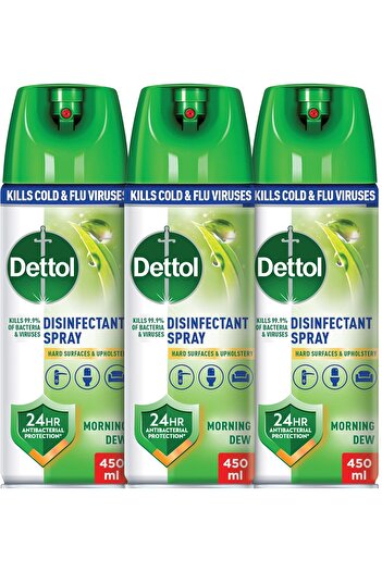 Dettol All-in-One Disinfectant Spray Morning Dew, 450 ml
