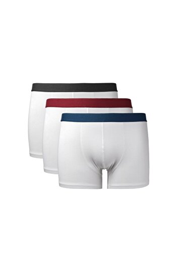 Kom Carl 3Lu Boxer