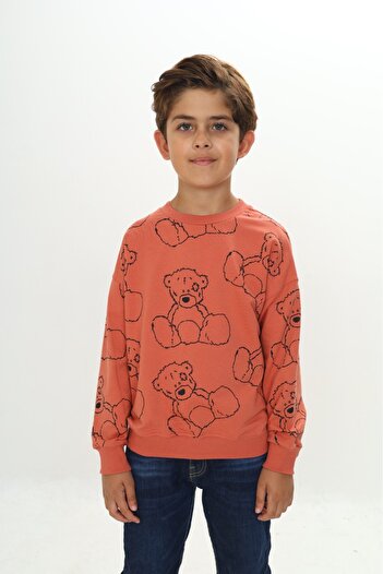 Toontoy Boy's Complete Bear Printed Sweatshirt