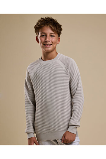 R&B Textured Sweater with Raglan Sleeves and Long Sleeves