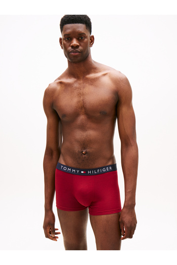 Tommy Hilfiger Men Multicolor Pack of 3 Trunk