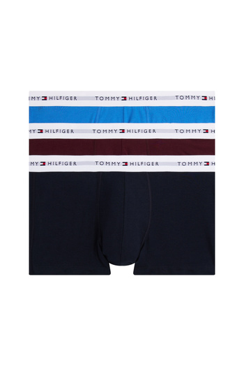 Tommy Hilfiger Men Multicolor Pack of 3 Trunk