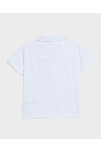 R&B Solid Shirt and Shorts Set