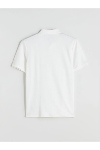 LC Waikiki Southblueecru Polo Neck Men's T-Shirt