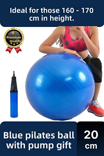 Svein Premium Mini Gymball 20cm Gymnastics Balance Fitness Sports Inflator Pump Blue Pilates Ball with Gift