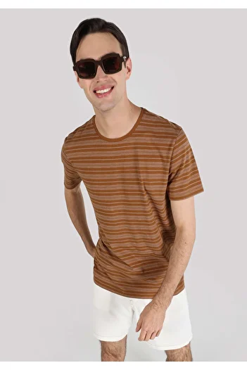Colin's Regular Fit Round Neck Striped Men's Brown Short Sleeve T-Shirt