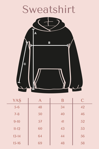 panios kids Plain Round Neck Urbaan Printed Detail Boy's Sweatshirt
