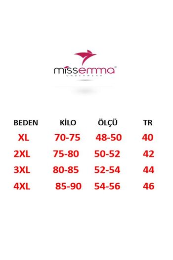 MİSSEMMA Women's Double Layered Lace Recovery 3 Pieces High Waist Panties