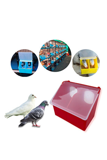NO18 Bird Feeder, Two Hole Feeder, Pigeon Feeder.