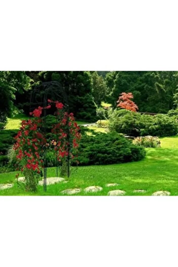 gardenline Kovový oblouk, pergola do zahrady, 130 x 39 x 260 cm