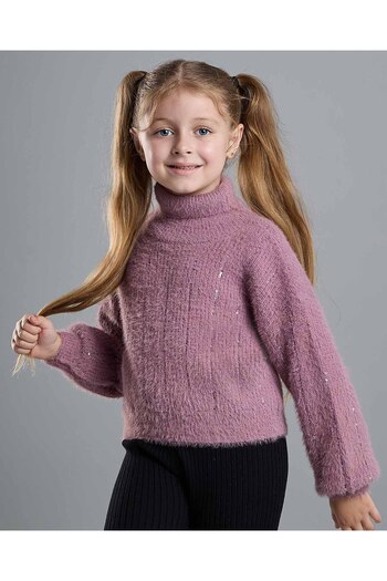 R&B Textured Sweater with High Neck and Long Sleeves
