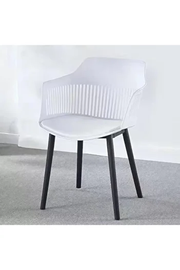 MAPLE HOME DECORATION Plastic Dining Chairs for Home and Patio Polypropylene Frame (White)