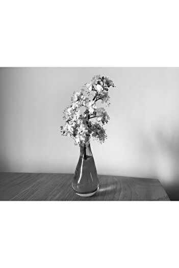 Harikabirev Amazing | Black & White Color Vase Flower Model | Framed Tempered Glass Table Single Horizontal