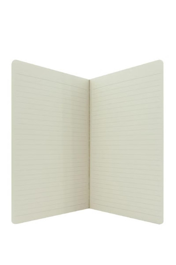 Roco Notebook – Diary of an Insect, B562 Sheets