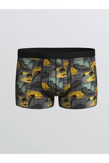 LC Waikiki Lc Standard Mold Cotton Flexible Men's Boxer 3-Pack (W5)
