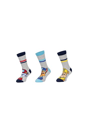 PAW PATROL Set of 3 pairs of children's socks, gray, 31-34, Team, Paw Patrol