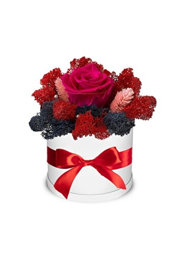 OEM Fuchsia Preserved Rose Decorated in White Box with Stabilized Moss