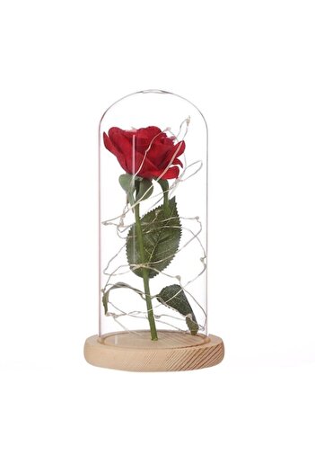 Leexo Red Rose Valentine's Day Artificial Glass Dome with LED Strip -
