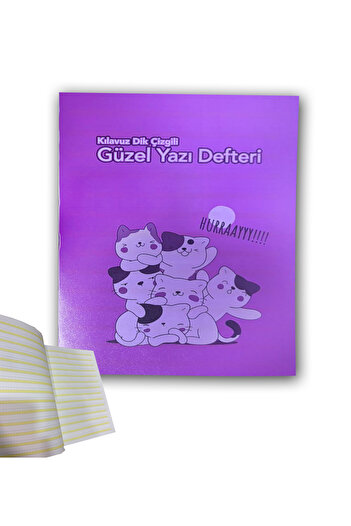 FLY COLOR Guideline Ruled Beauty Writing Notebook A4 New Curriculum 40 Sheets Plastic Cover