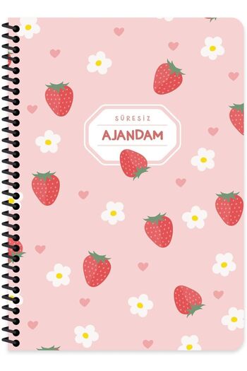 STOREMAX Snshop Color 17X24 Spiral Bound Undated Diary with Hard Cover 467437