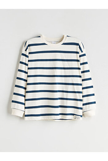 LC Waikiki Crew Neck Striped Boy T-Shirt