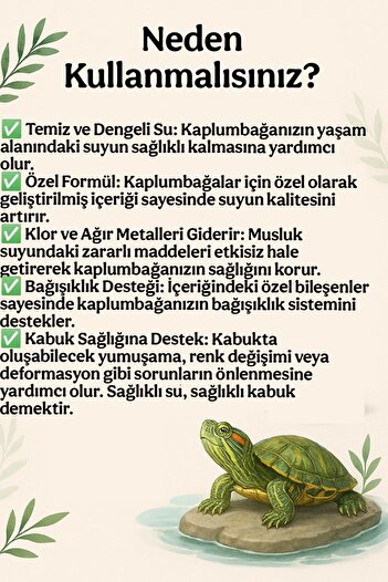 Akvaryum Kaplumbağa Bakım Suyu Sağlıklık Kaplumbağa için Önerilir.