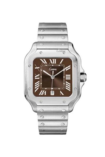 catera Men's watch with a silver steel strap and a brown dial