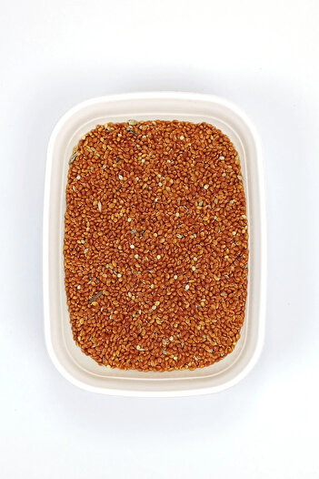 No8 Home Red Millet Plain Dust-Free Natural Fresh Bird Food - 3 kg