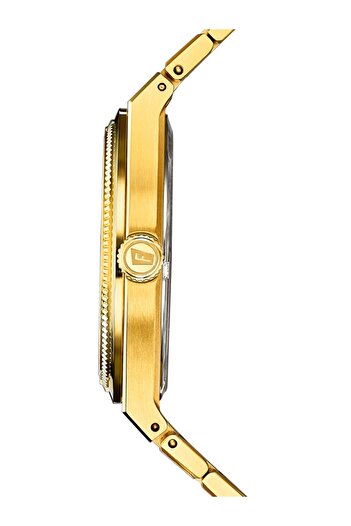 FESTİNA Mens Watch F20032/1, Automatic, 40mm, 10ATM