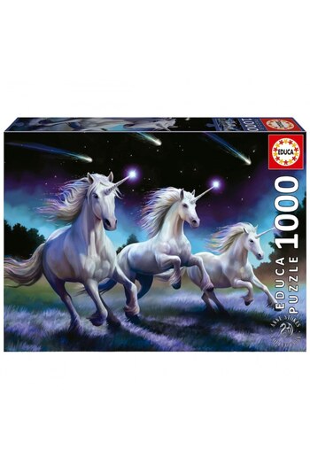 EDUCA Puzzle, Educa, Falling Stars, Anne Stokes, 1000 pieces