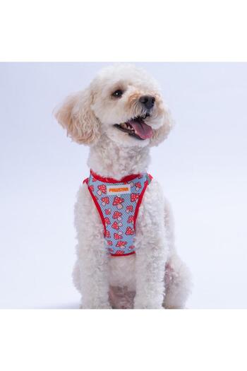 Pawstar Mushroom Air-Mesh Chest Harness Cat Dog Chest Harness Mushroom Pattern Dog Harness