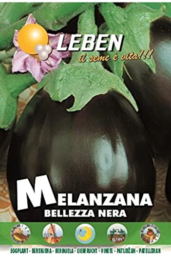 Leben Eggplant (Melanzana Bellezza Nera) Premium Quality Seeds Made in Italy