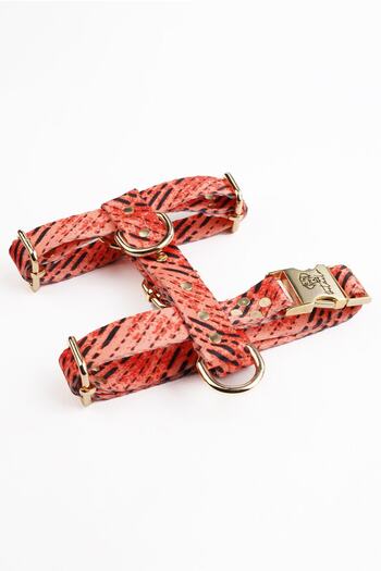 TheTailor Anti-Escape Leash Tom Leash Set Chest Leash and Travel Leash