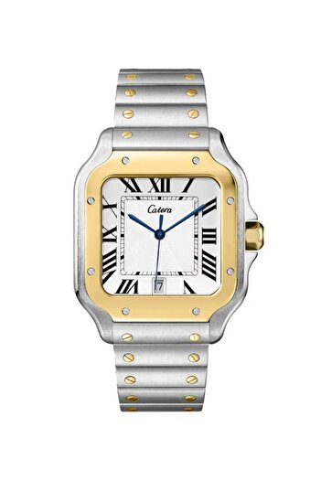 catera Men's watch with a silver and gold-tone steel strap and a white dial